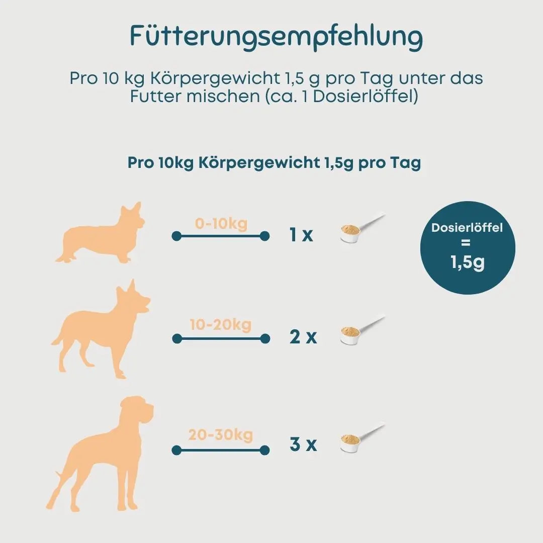 Zahnpflege Pulver