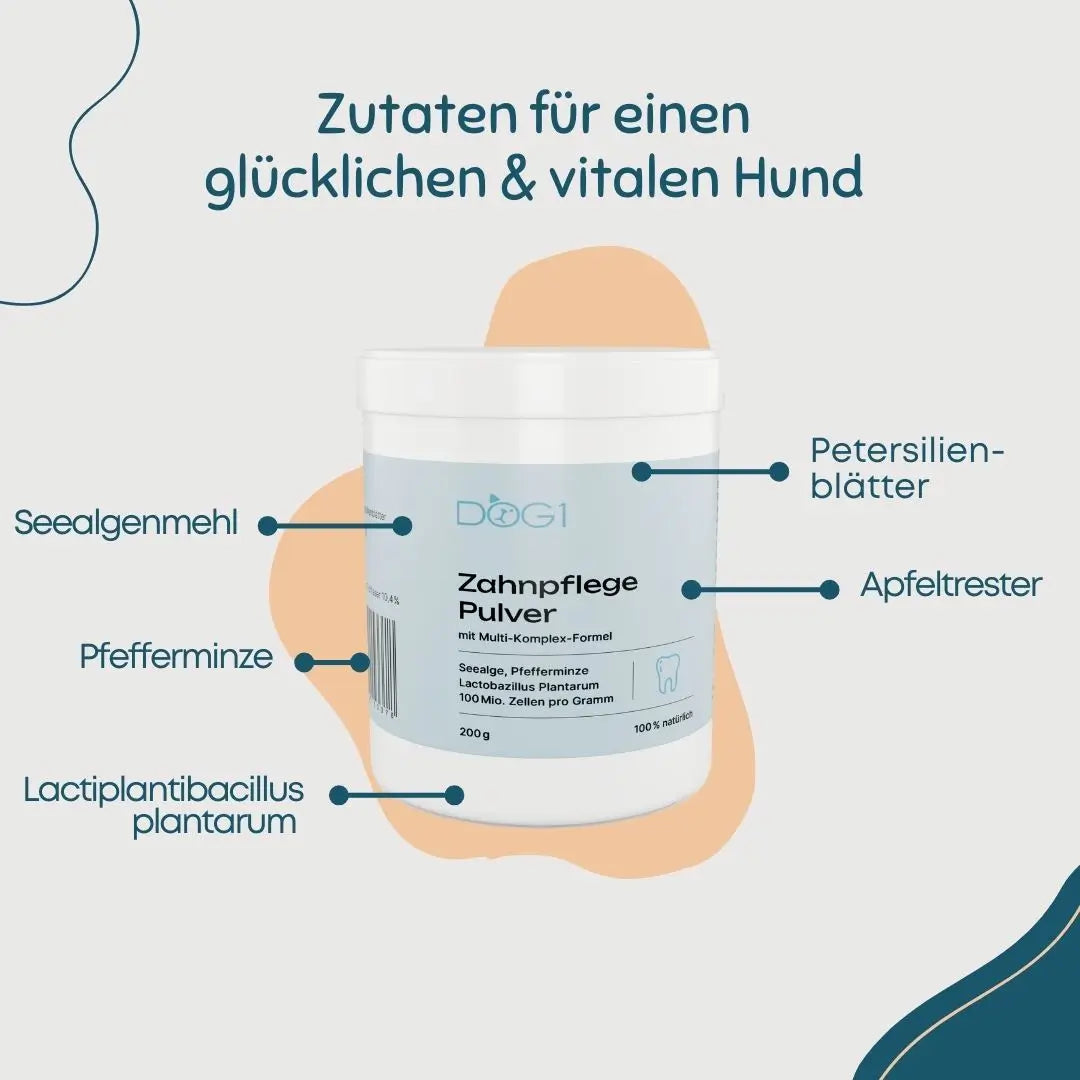 Zahnpflege Pulver