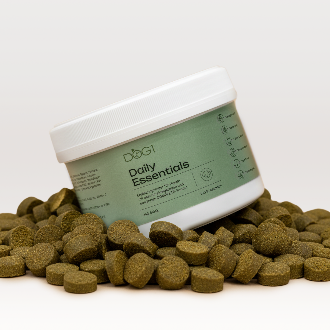 Daily Essentials Snack