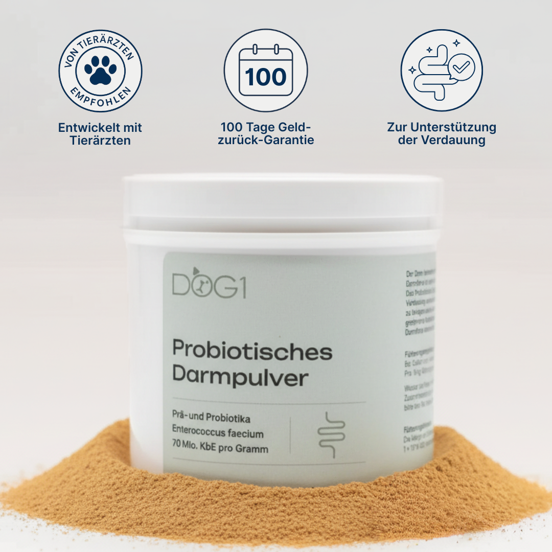 Probiotisches Darmpulver
