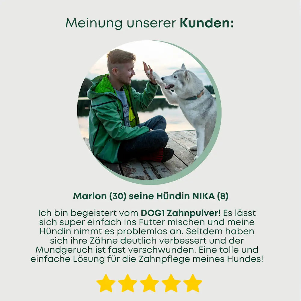 Zahnpflege Pulver