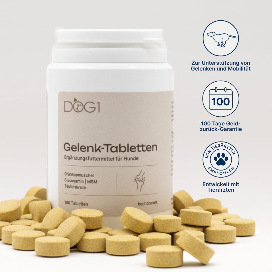 Gelenktabletten