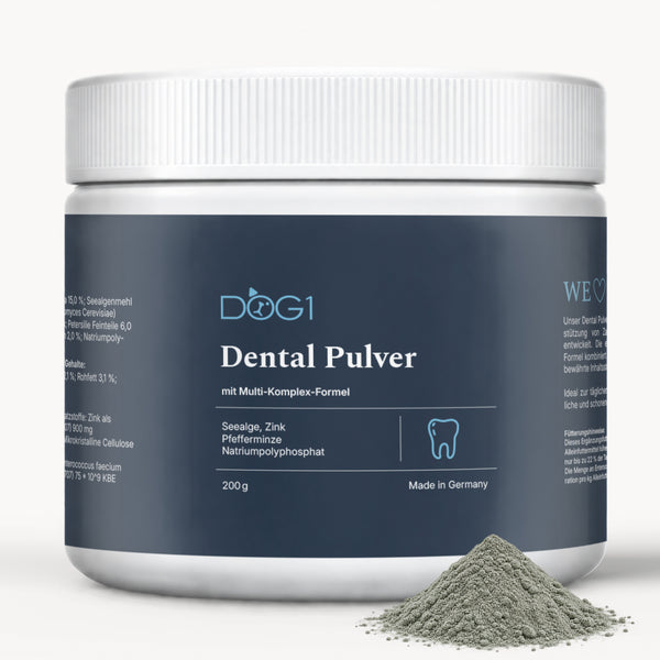 Dental Pulver