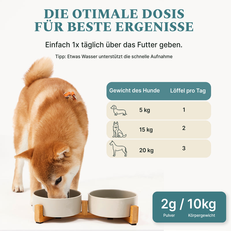 Magen & Darm Bundle