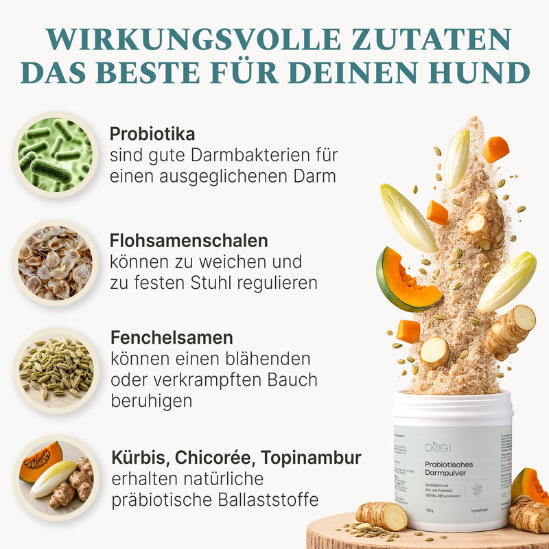 Magen & Darm Bundle