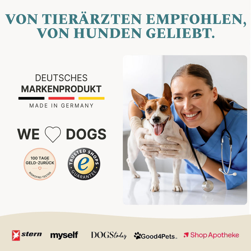 Magen & Darm Bundle