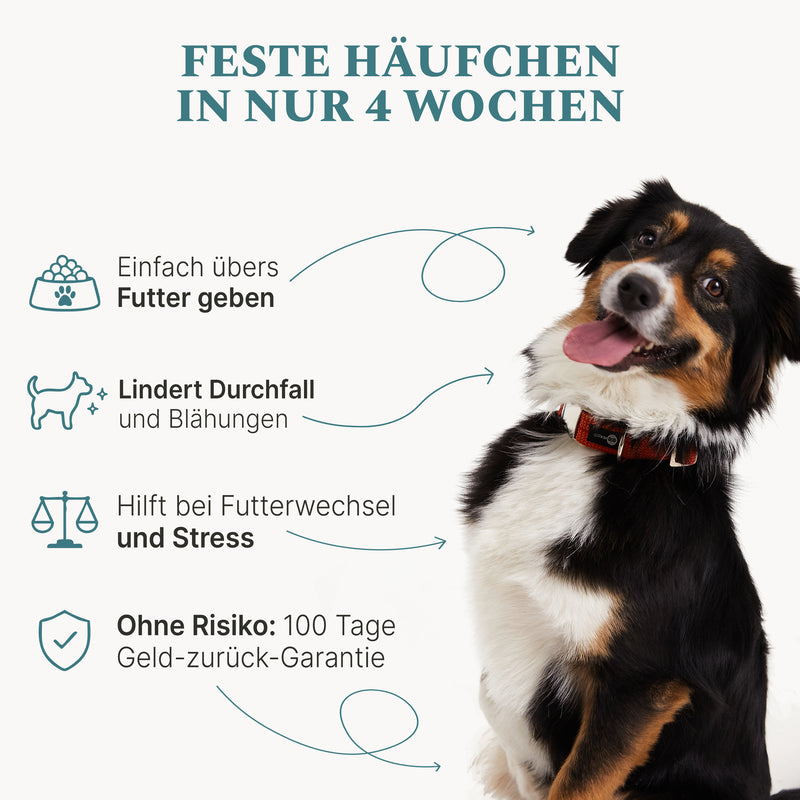 Magen & Darm Bundle
