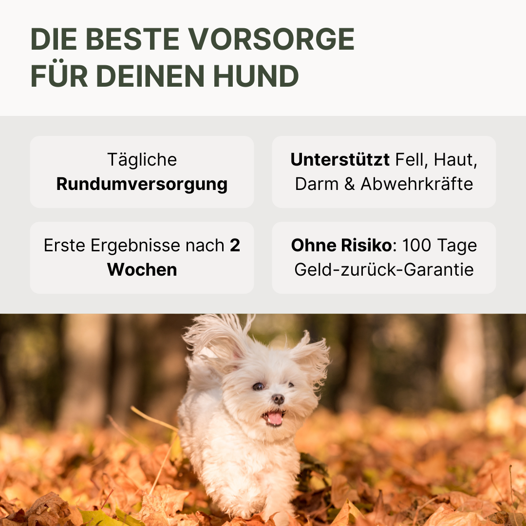 Daily Essentials Pulver