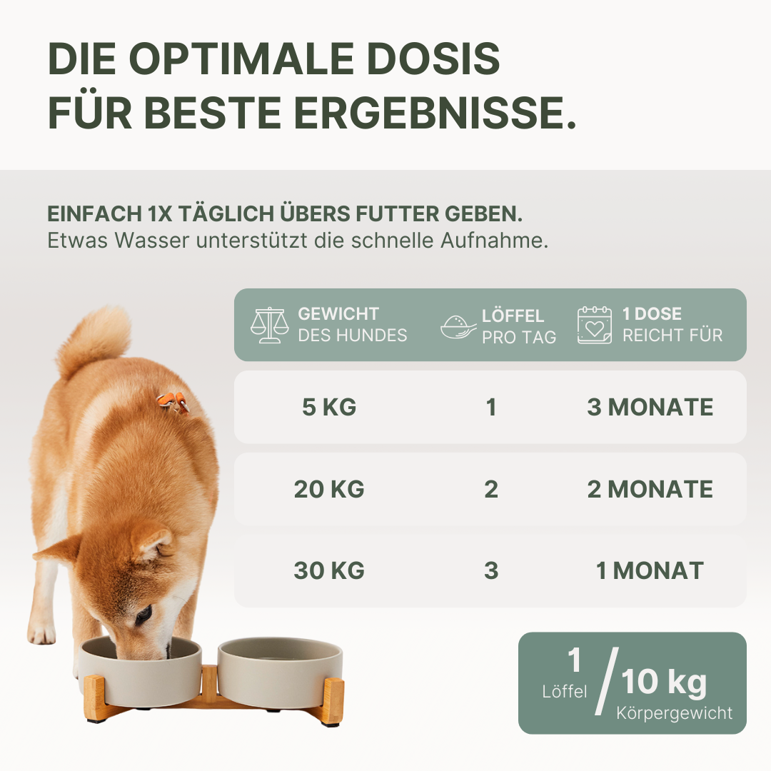 Daily Essentials Pulver