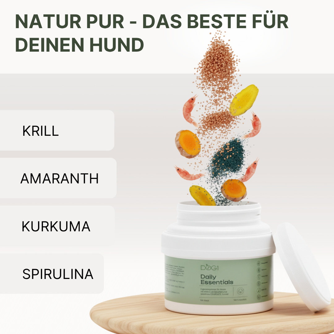 Daily Essentials Snack