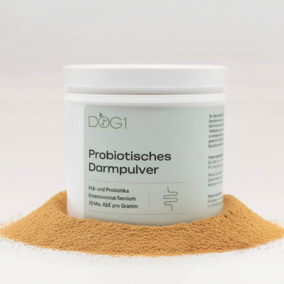 Probiotisches Darmpulver