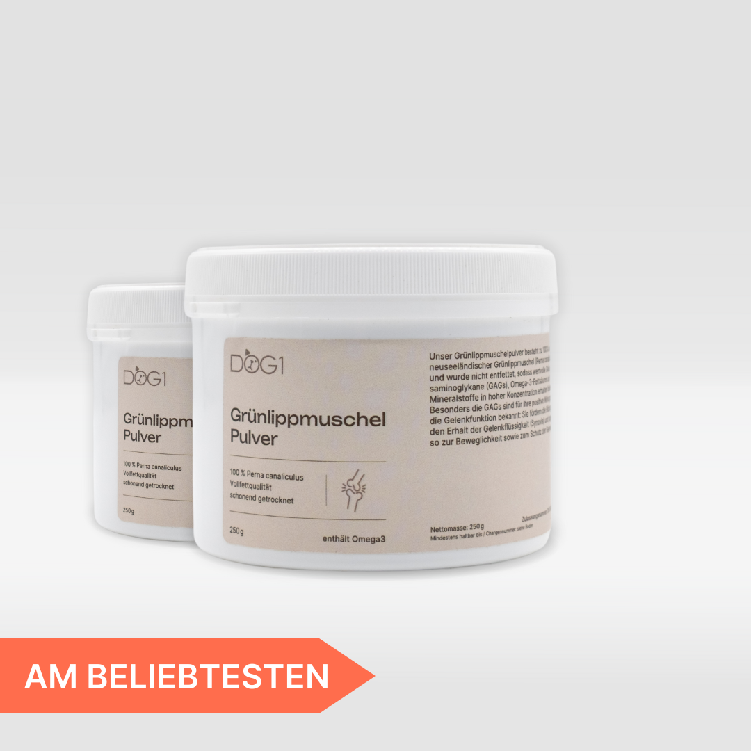Grünlippmuschel Pulver