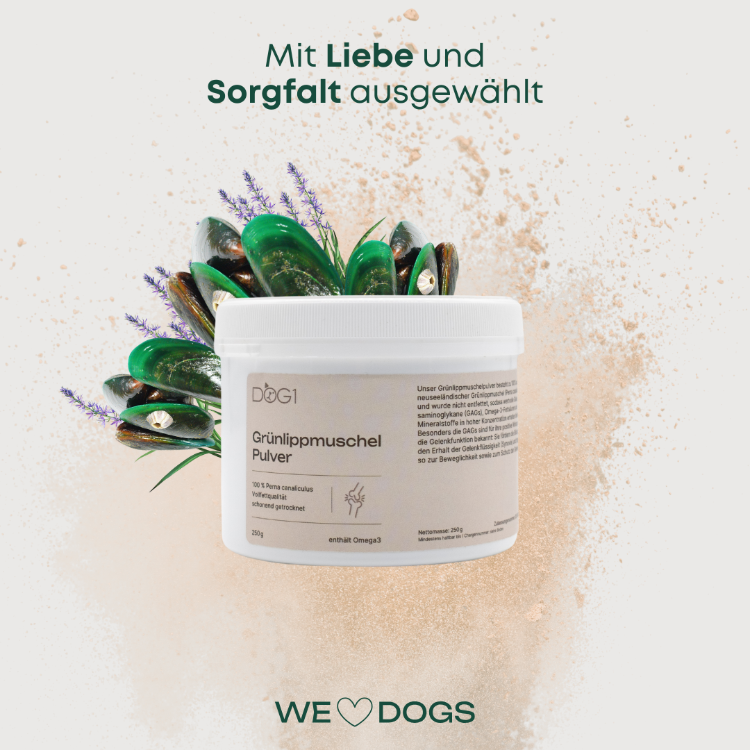 Grünlippmuschel Pulver