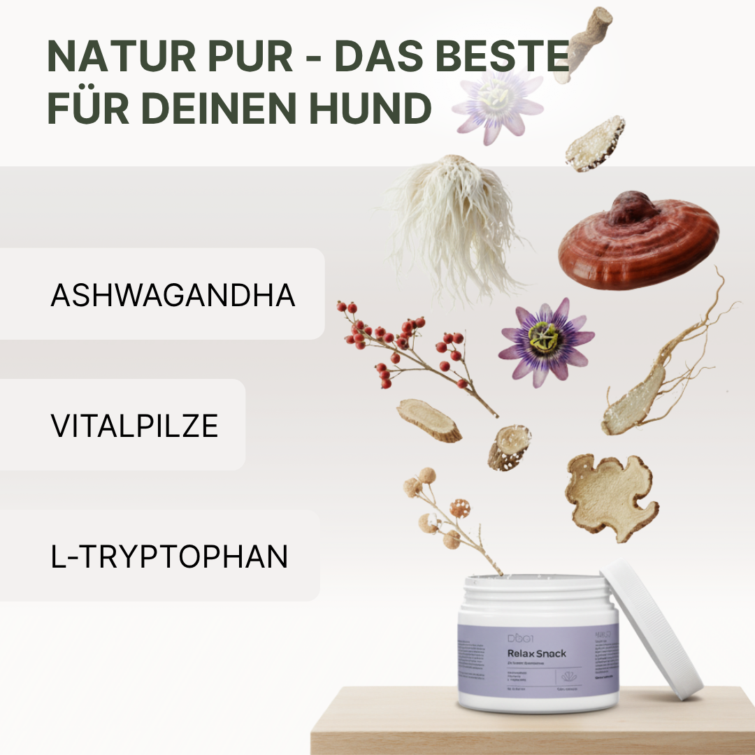 Offene Dose Relax-Snack mit Deckel auf Holzunterlage, umgeben von Ashwagandha, Vitalpilzen und L-Tryptophan, Text 'Natur pur - Das Beste für deinen Hund'.