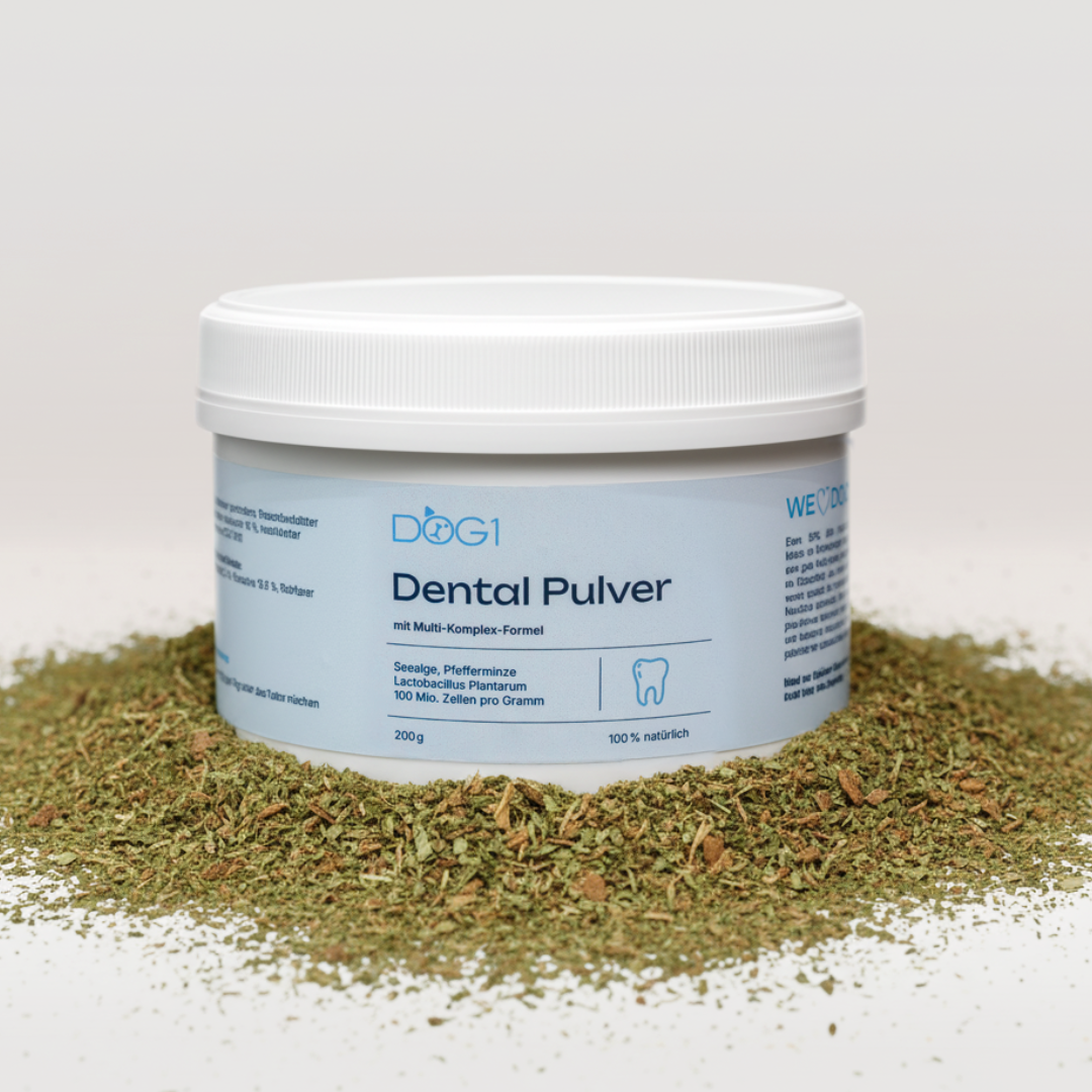 Dental Pulver