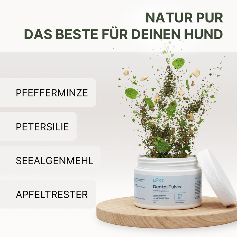 Inhaltsstoffe im DOG1 Dental Pulver: natürliche Kräuter und Pflanzenstoffe für gesunde Hundezähne
