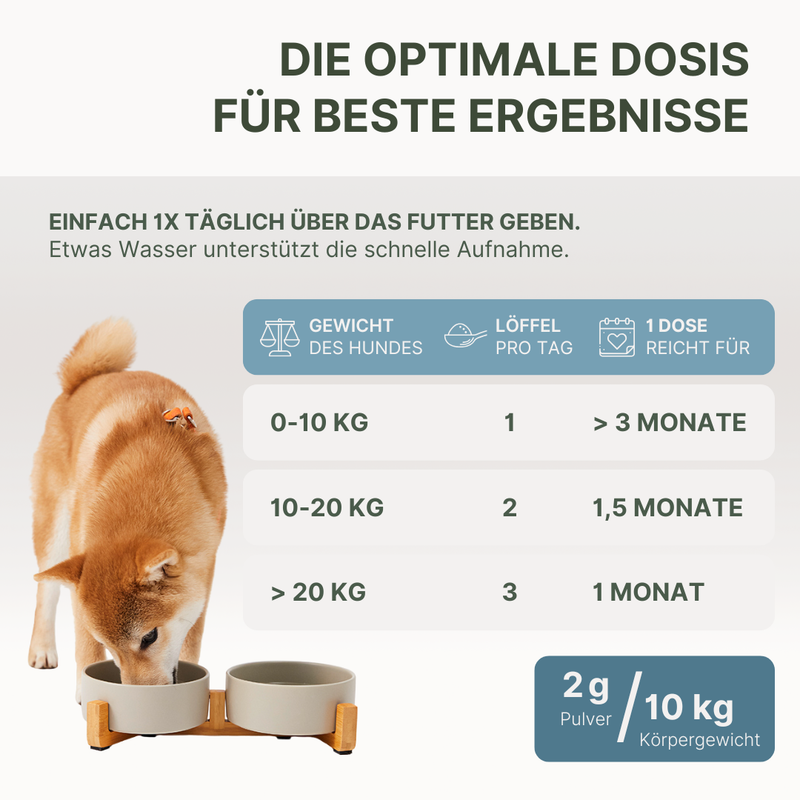 DOG1 Dental Pulver – Bild 4