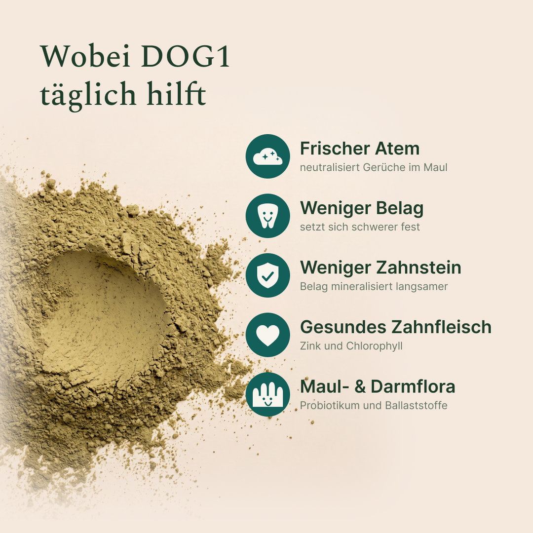 Wobei DOG1 hilft