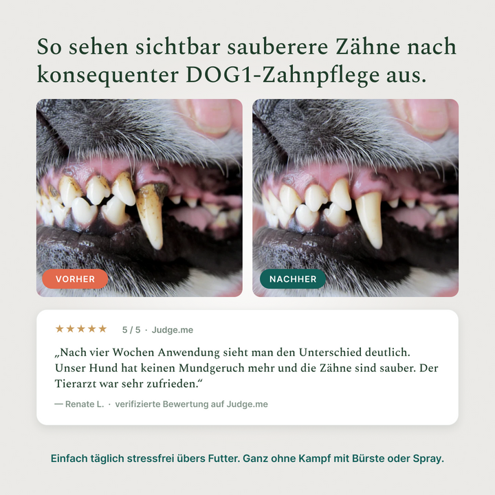 Vorher – Nachher