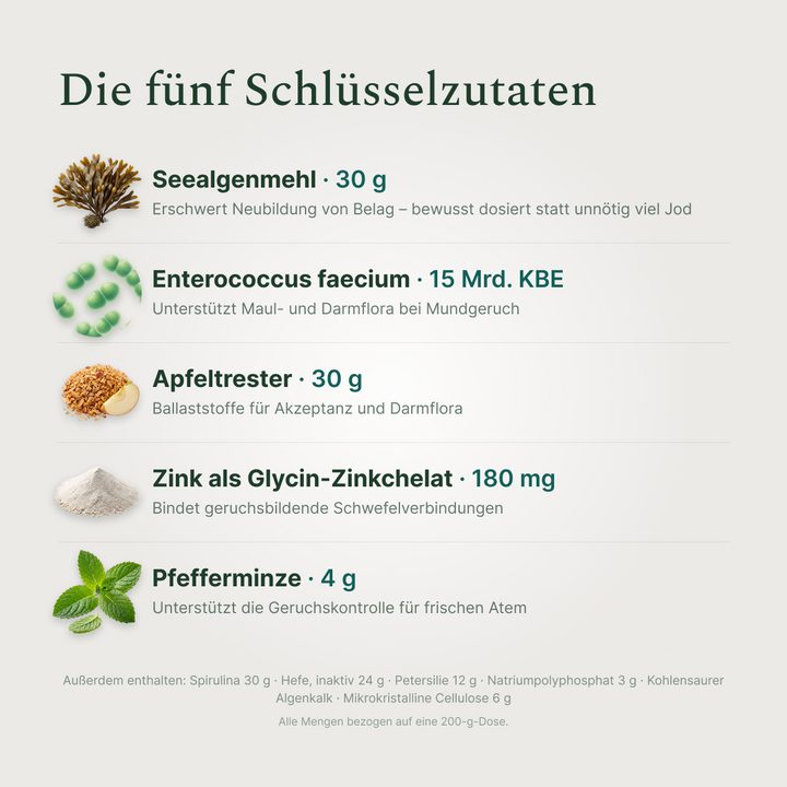 Key Ingredients