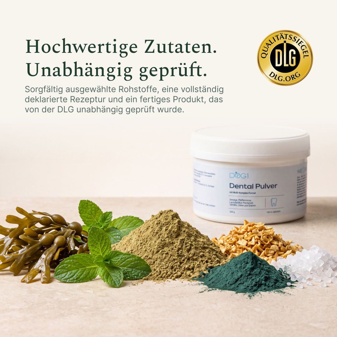 Zutaten und DLG