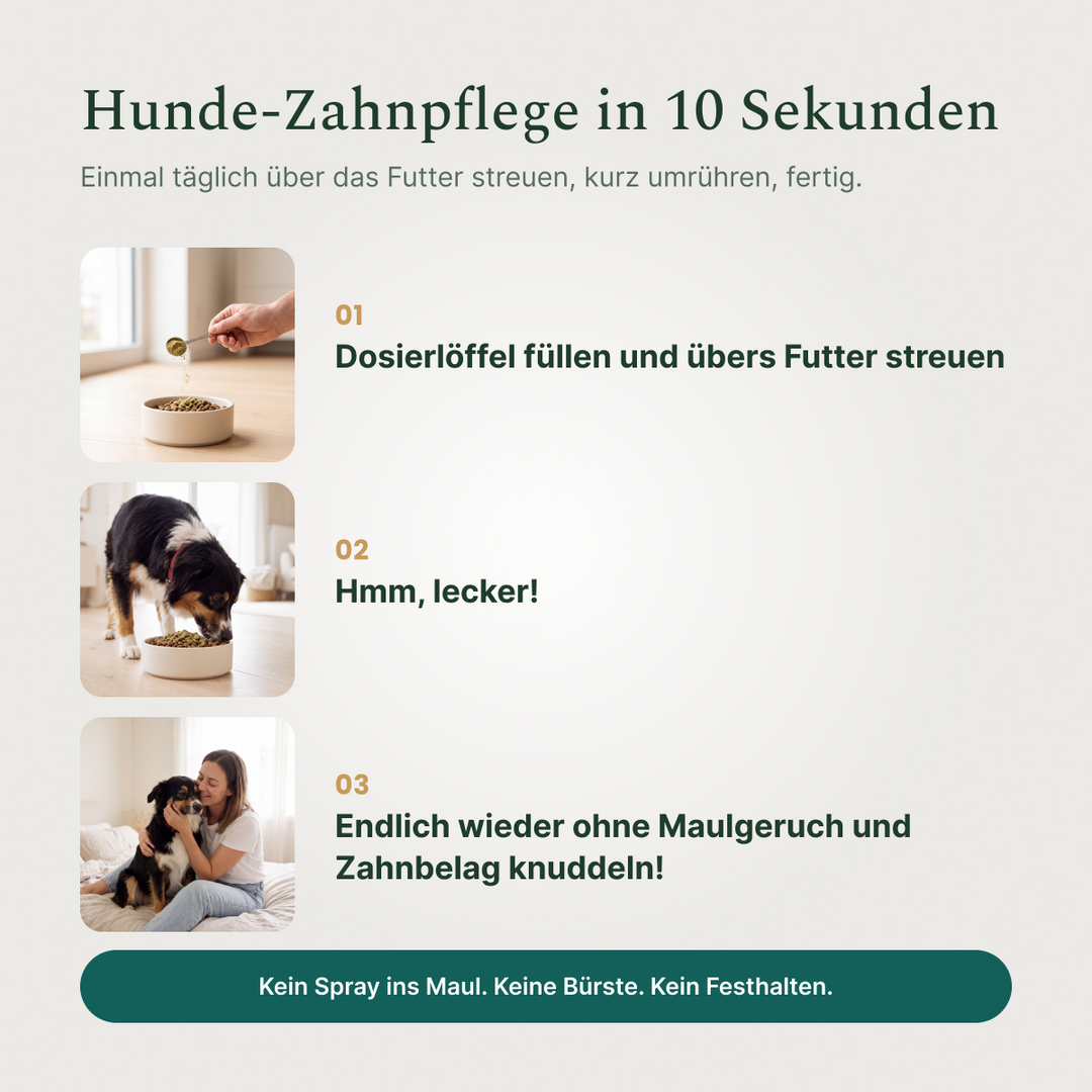 So geht's