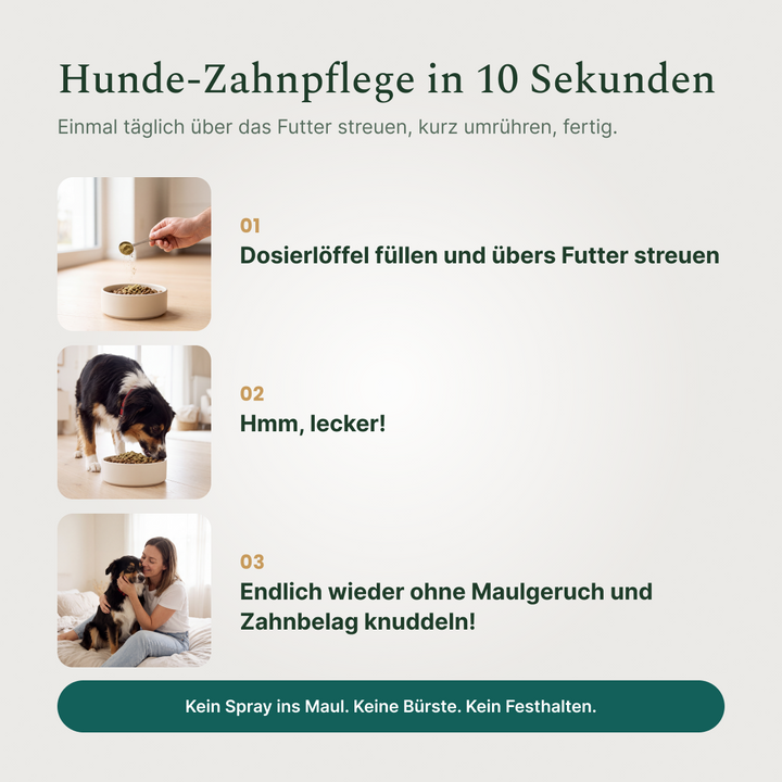 So geht's