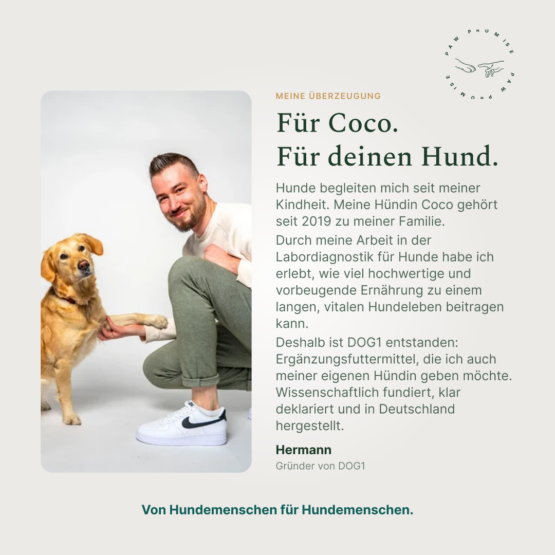 Gründer und Paw Promise