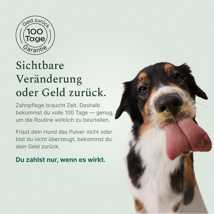 100-Tage-Garantie
