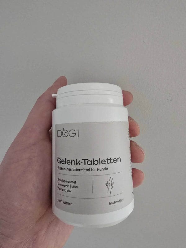 Eine Dose DOG1 Gelenktabletten wird in die Kamera gehalten.
