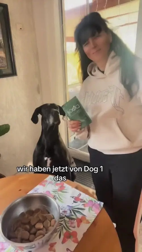 Video 2