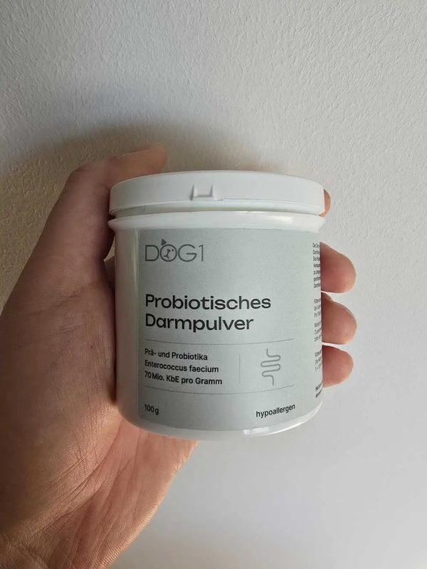 Dose DOG1 Probiotisches Dentalpulver wird in die Kamera gehalten.