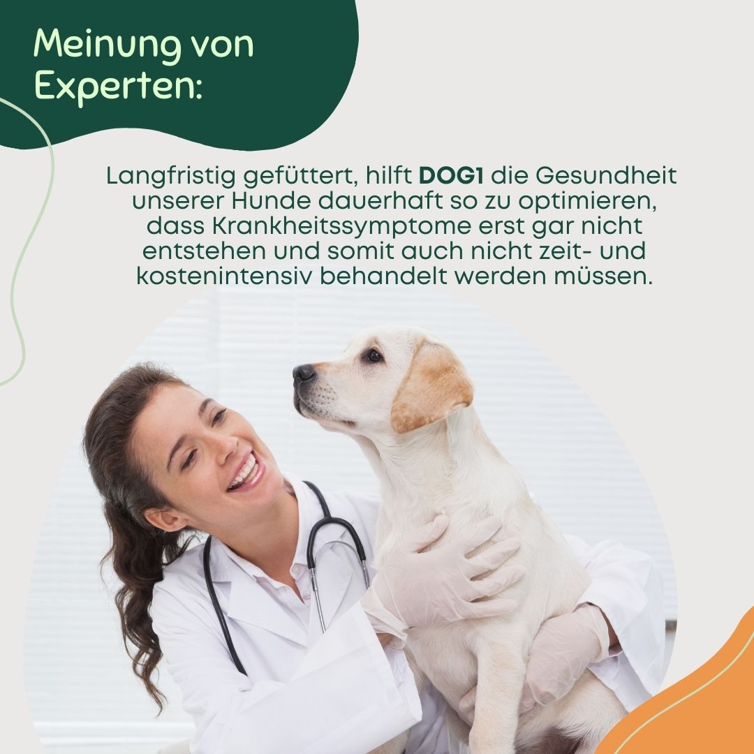 Premium All-In-One für Hunde