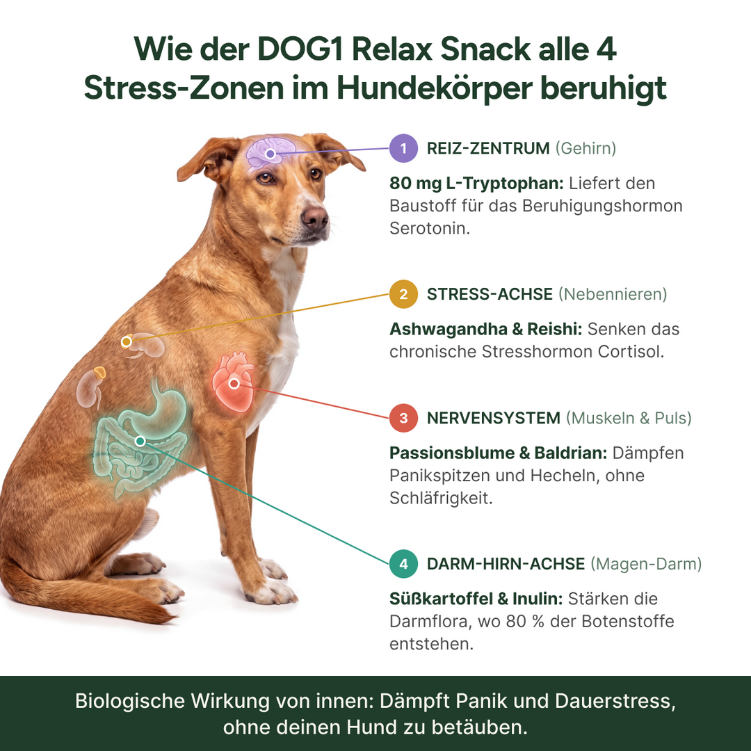 Wie der DOG1 Relax Snack alle 4 Stress-Zonen beruhigt