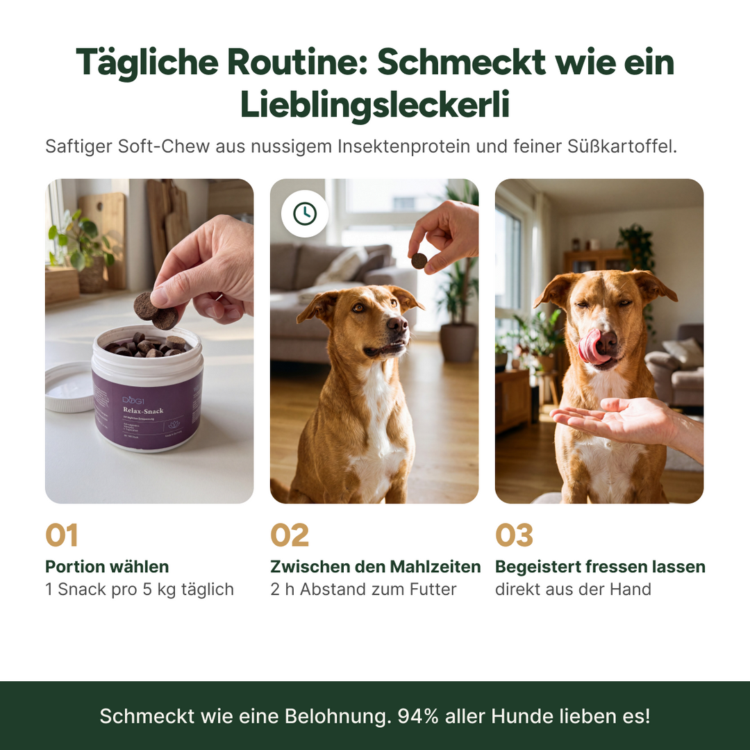 Tägliche Routine – schmeckt wie ein Lieblingsleckerli