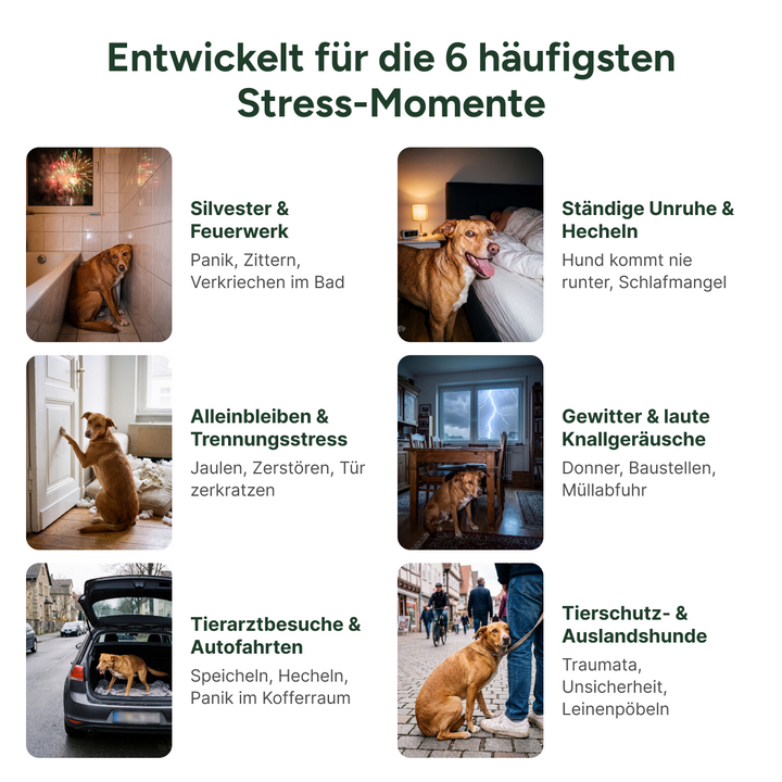 Entwickelt für die 6 häufigsten Stress-Momente