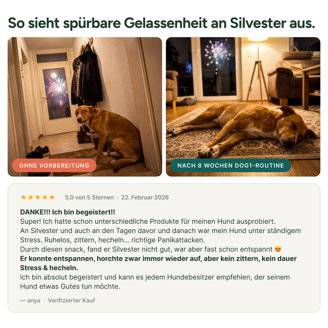 So sieht spürbare Gelassenheit an Silvester aus