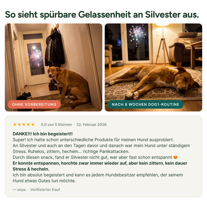 So sieht spürbare Gelassenheit an Silvester aus