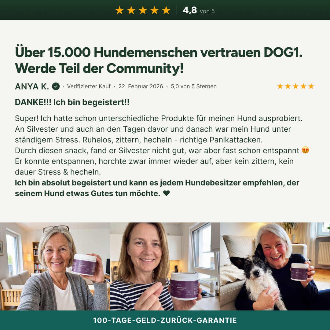 Über 15.000 Hundemenschen vertrauen DOG1
