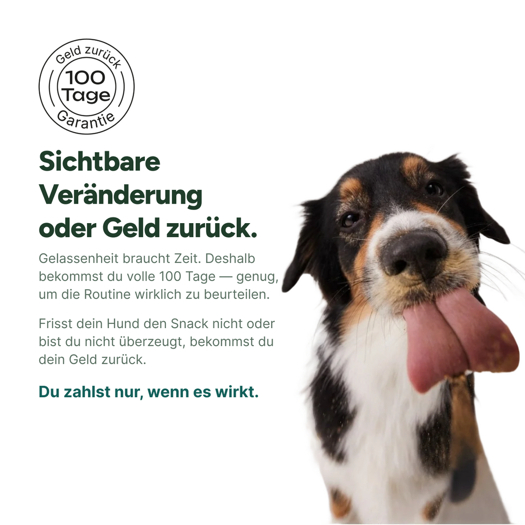 100 Tage Geld-zurück-Garantie